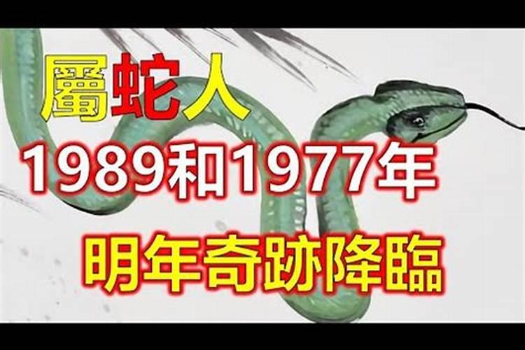 人体肚脐上面八字骨中心是什么器官？