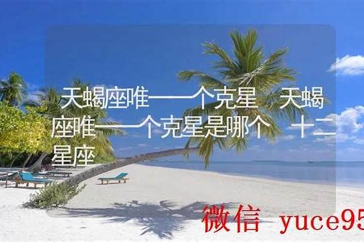 民乐园社火表演时间表2025年