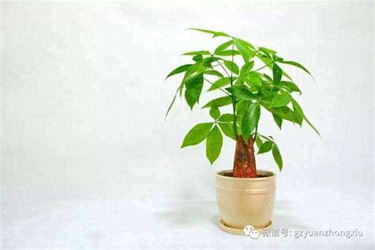中秋节是阴历还是阳历