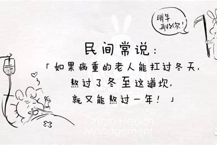 蛇和猴为什么相克又相合