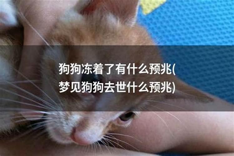 甘肃包工头爬50米塔吊讨薪被拘,为何他会面临这样的惩罚？