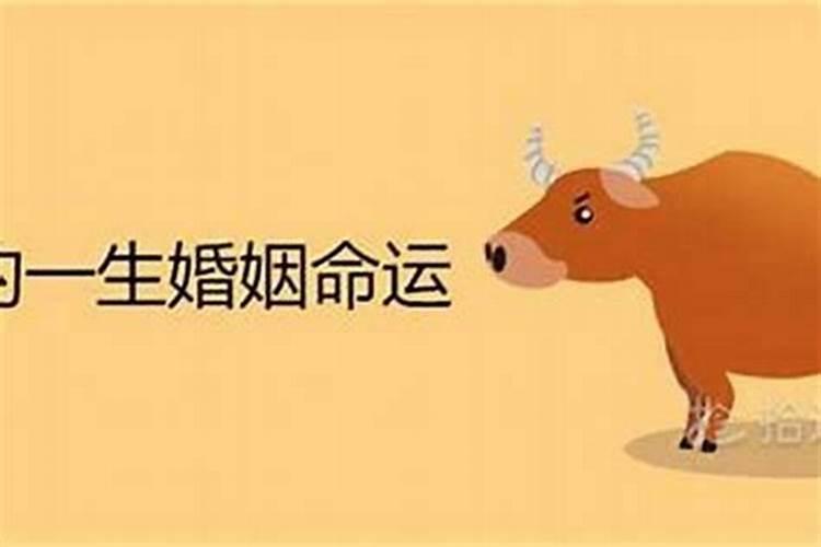 属龙二月出生命运如何 二月出生生肖龙一生荣华富贵？