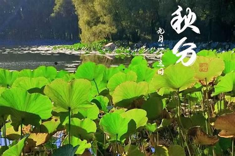 五行手串可以化太岁吗