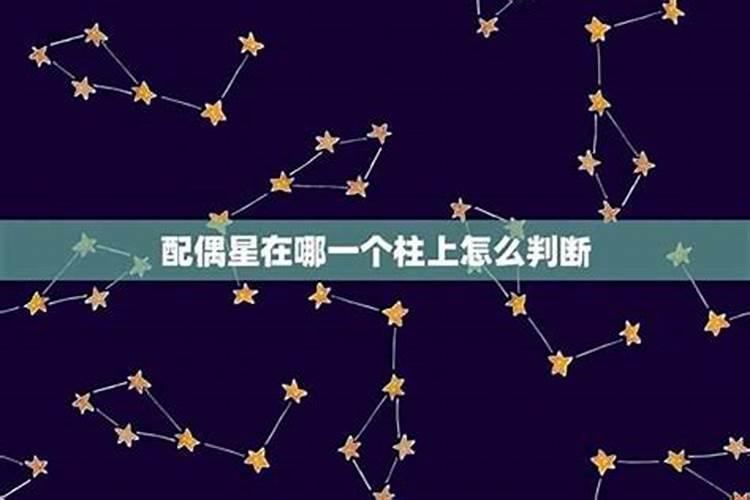 1969年属鸡的2025全年运势