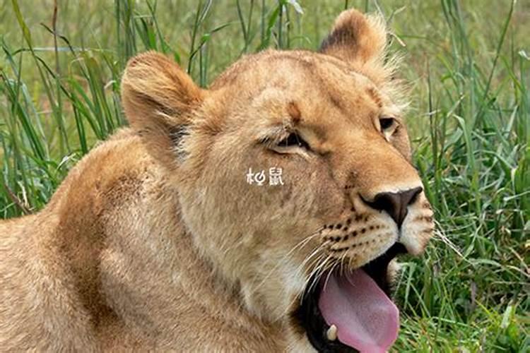 冬至节气的是什么意思