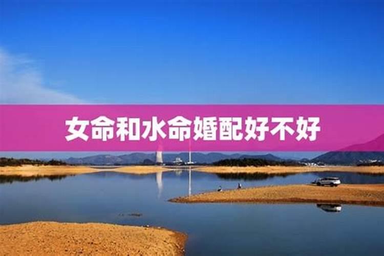 官杀是什么意思