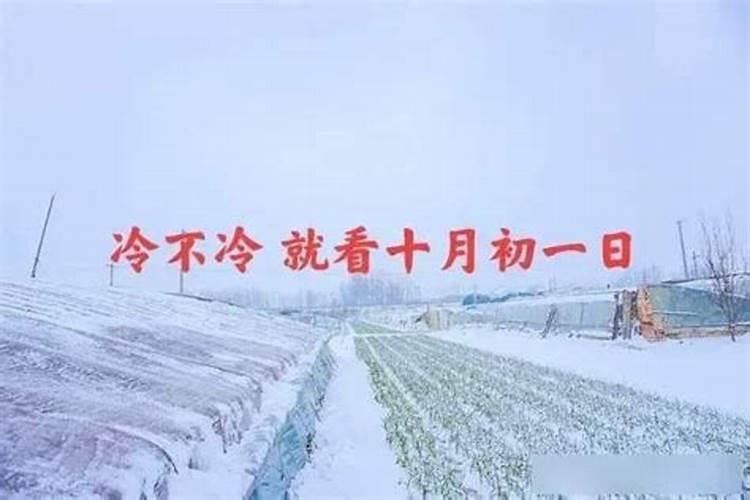 护林防火工作总结