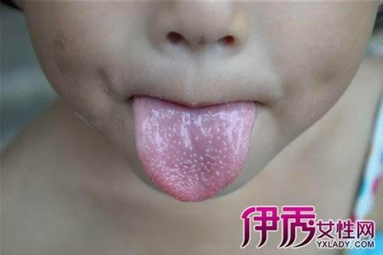 1943年属羊寿终,1943年羊2026年会死