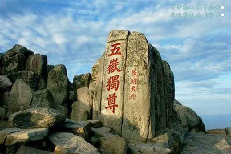 梦到大蟒蛇预示着什么