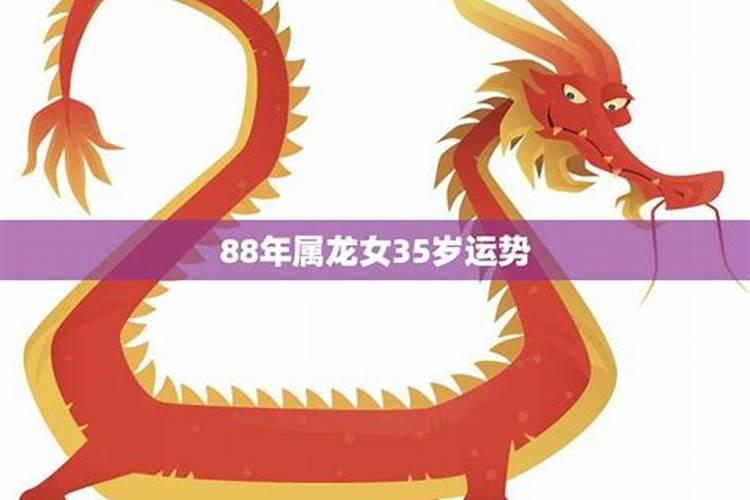 属龙的女人2025年运势全年