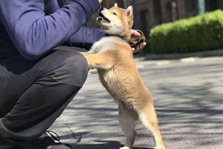 哪个时辰出生的孩子好？