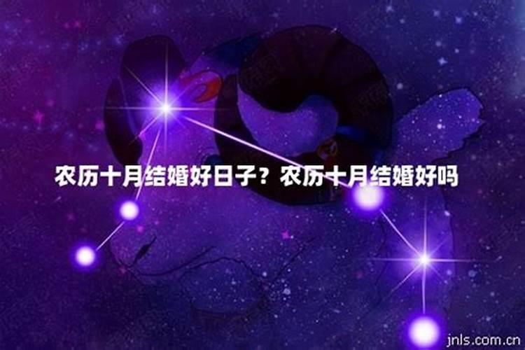 辞旧迎新马上就虎年了,虎年是我本命年,过年的衣服怎样搭配呢？