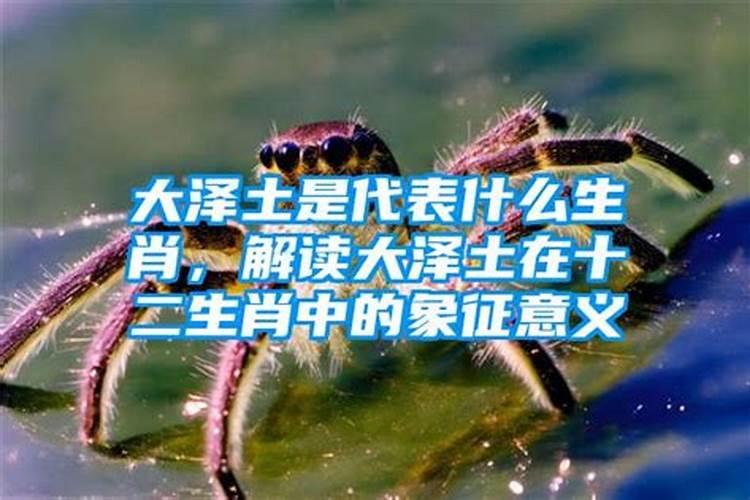大驿土命理解析与运势分析