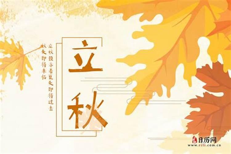 2025年属虎人的全年运势如何