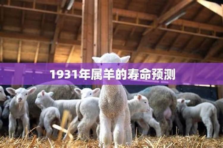 1931年属羊人寿命是多少？2022年全年运势