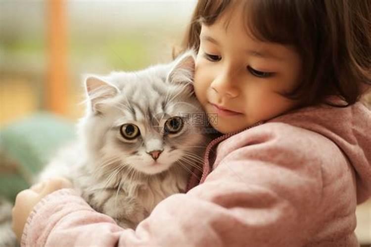 梦到养了一只猫和一只狗,梦到自己养了一只猫
