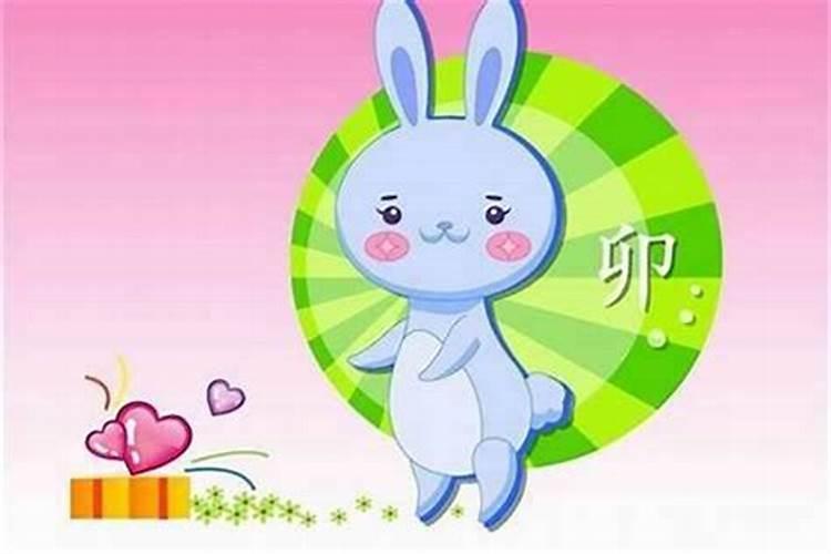 农历9月出生属兔人命好吗