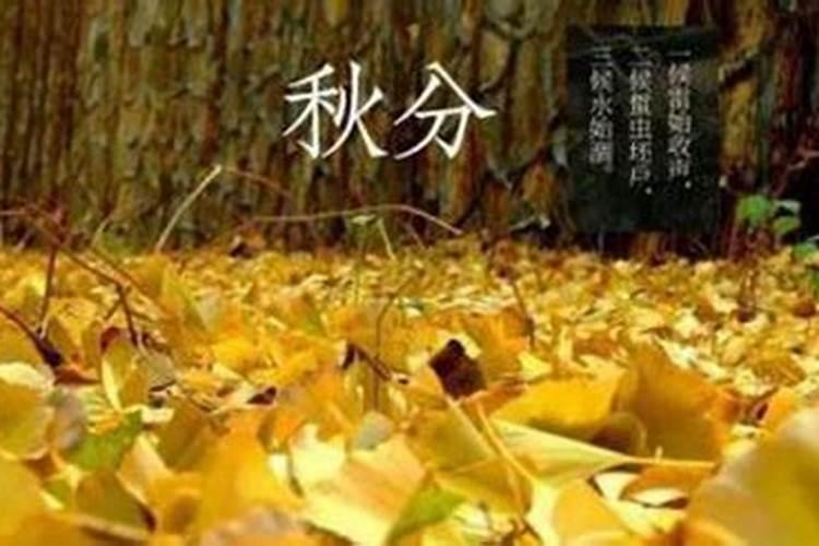 五彩绳的寓意和象征