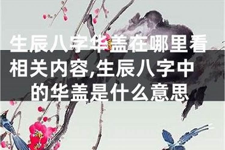 命带华盖是什么意思命带华盖意思是什么