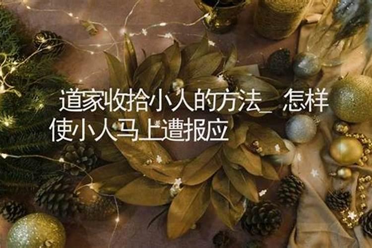 婚动是什么意思