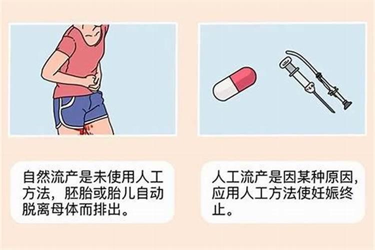 2025属兔大忌颜色