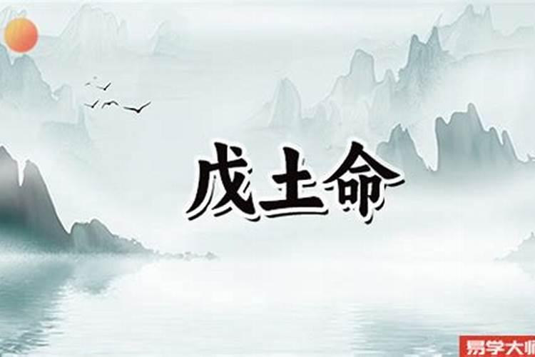 女命伤官代表什么意思