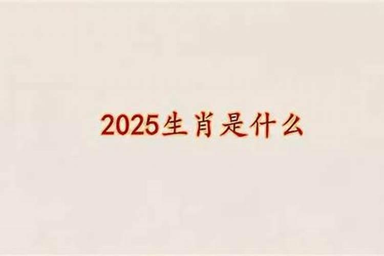 正月19什么星座