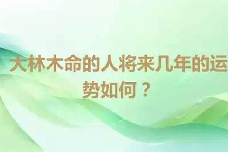 大林木的命理特征与运势分析