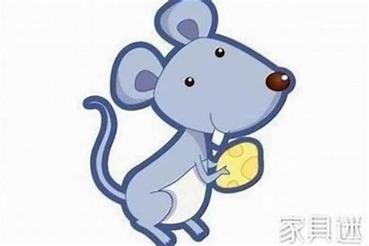 对八字中天干合地支,自合现象的理解