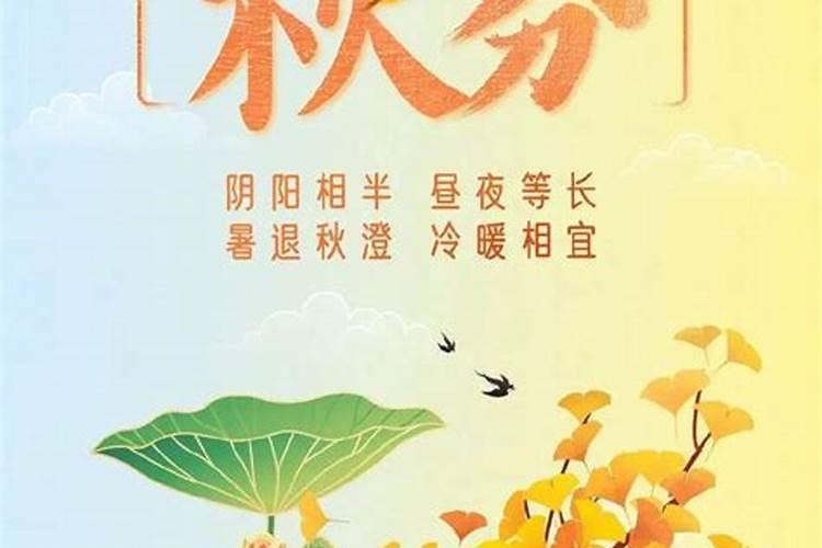 1975年属兔是什么命 75年属兔的是什么命