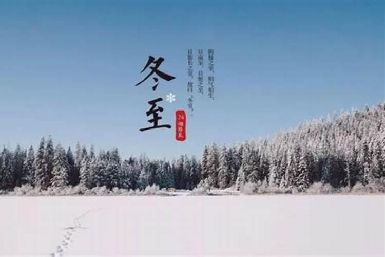 室内风水摆件有哪些 风水牛气势如虹