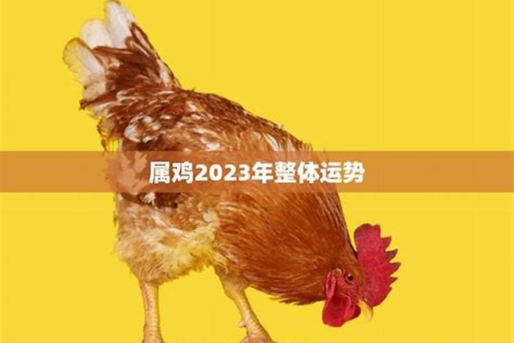 属鼠女和属鼠男的婚姻状况怎么样 属鼠男和属鼠女情感相配吗