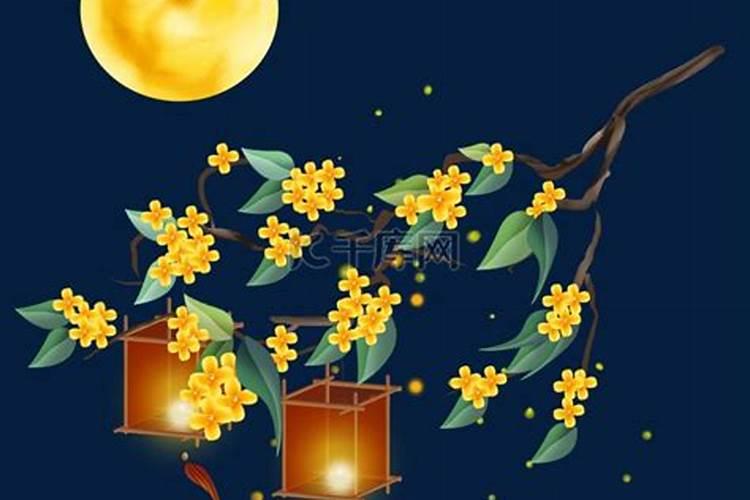 重阳节有什么风俗特点