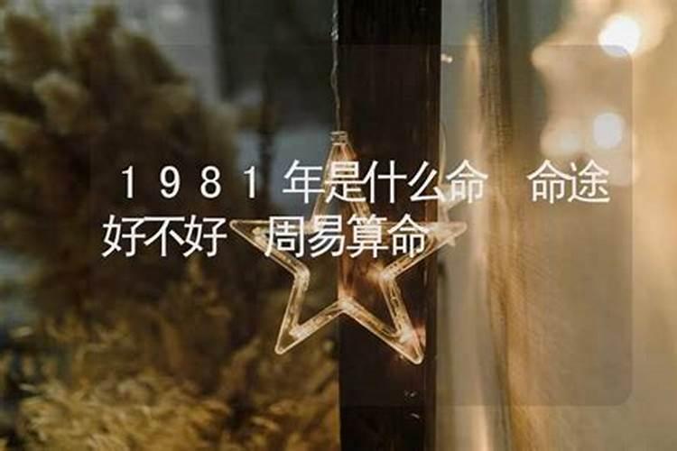 1994年属狗人九紫离火运发展如何