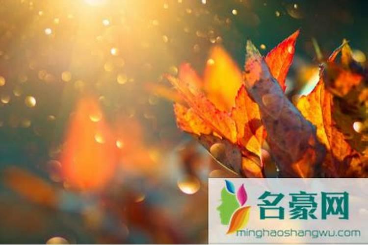 立秋养生要注意这四点