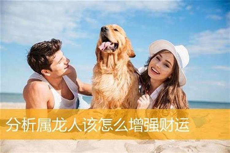 1984年属鼠男2023年运势及运程 每月运势好不好？