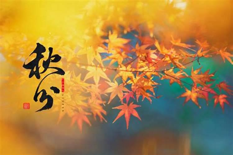 农历十月是什么季节