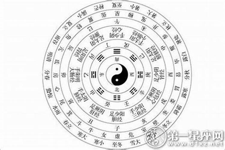 2025九紫离火运最好属相