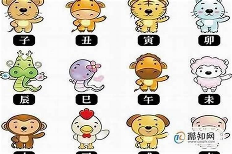 属狗人2025年全年运势