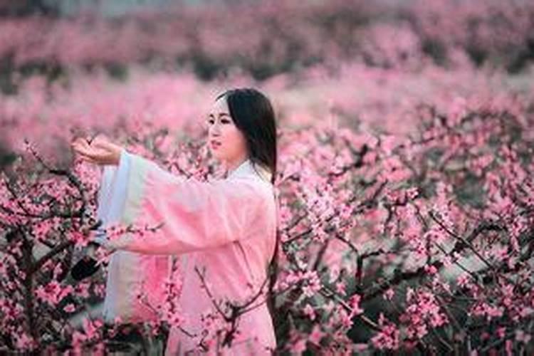 免费八字算桃花,生辰八字算桃花