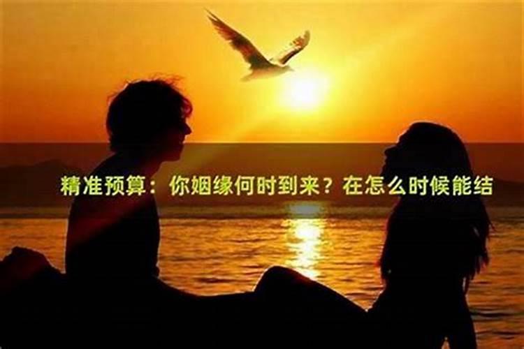 1977年属蛇男2025年运势