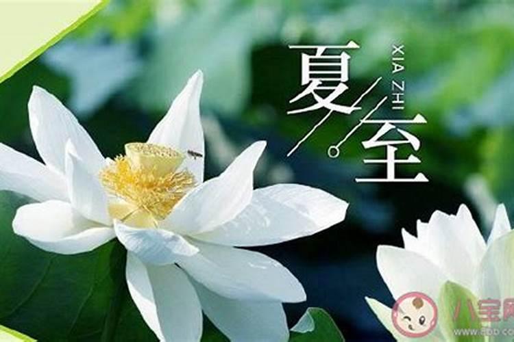 初七是什么神仙的日子