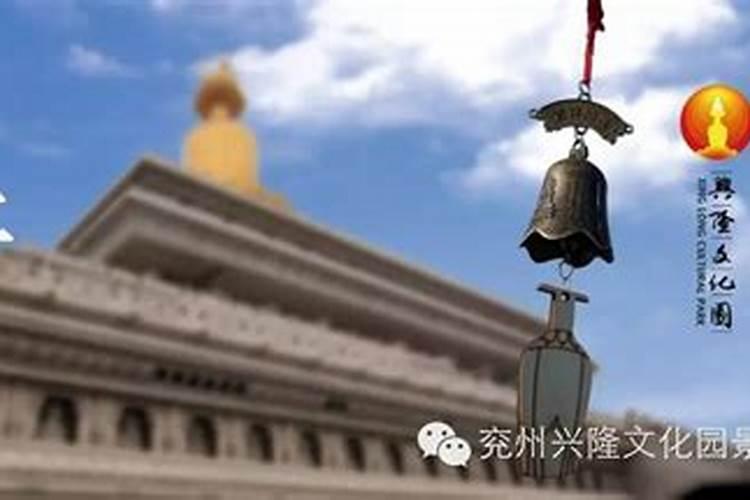 怎么查命里有没有童子