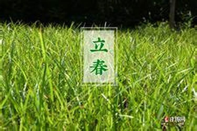 2024年腊月初九属什么生肖呢