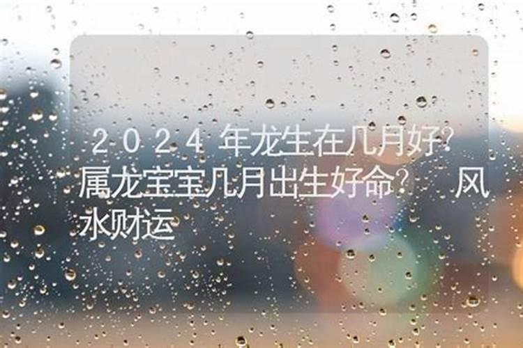 2024几月狗最有福气 82年几月狗最有福气