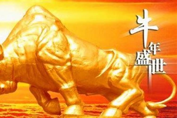 1937年出生的人是什么命？
