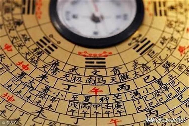 属鸡哪一天出生最厉害