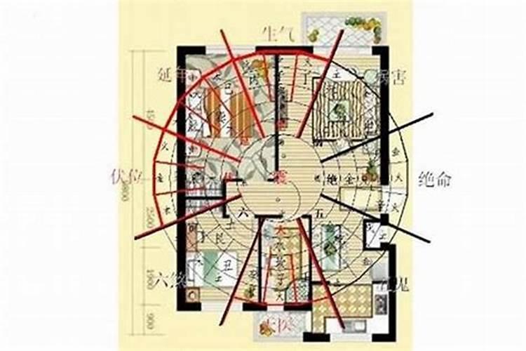 我属鸡正月初五生人命里能大富贵吗？