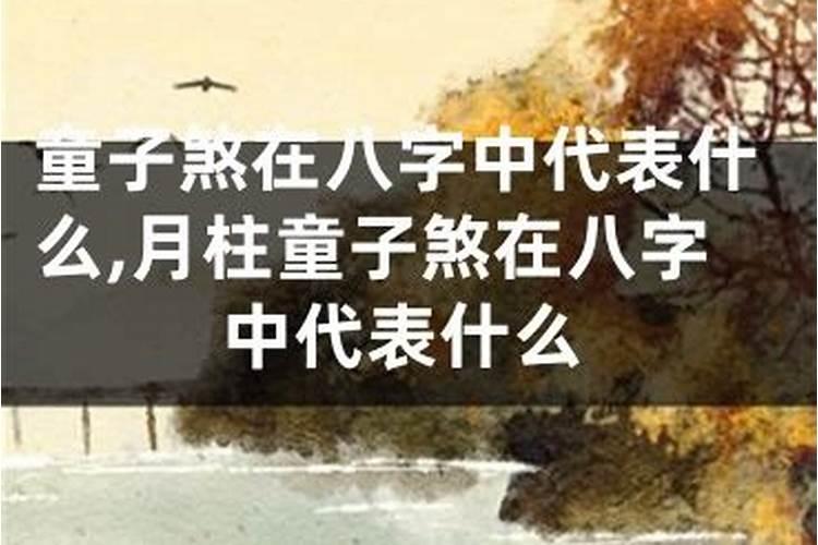 八字命盘 童子命的劫难是什么