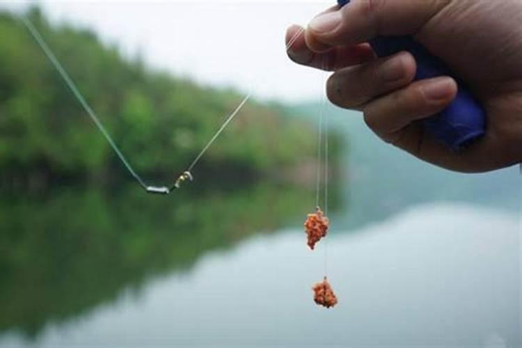 什么时候海钓好 不同海鱼的最佳垂钓时间